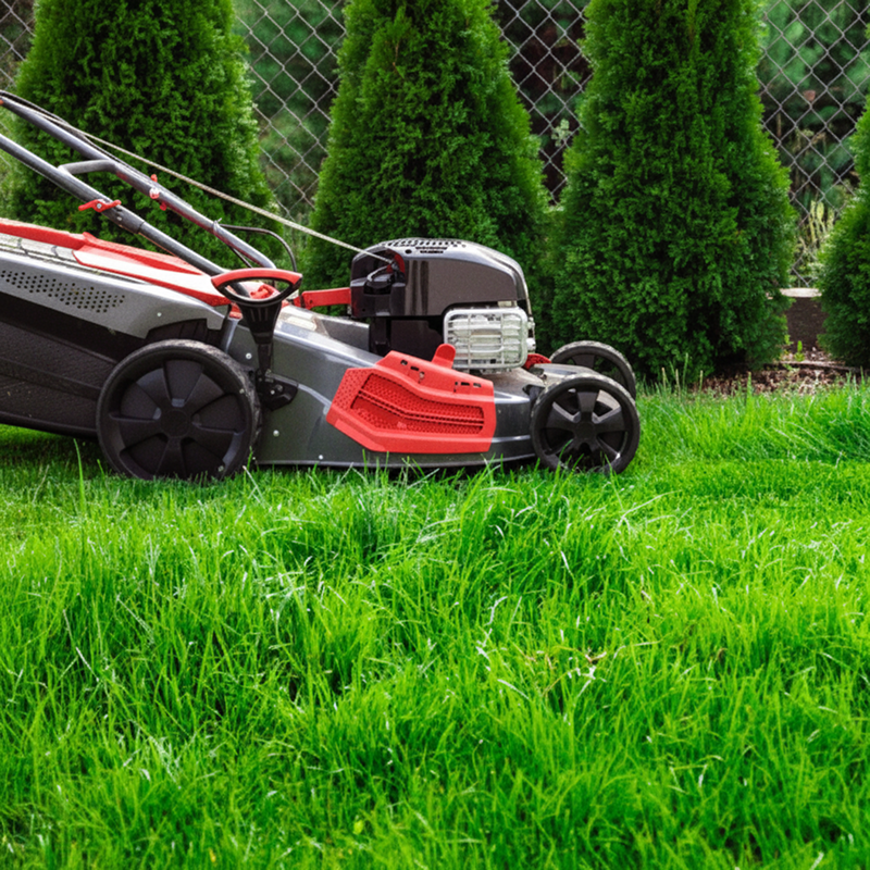 Mow Your Lawn Regularly