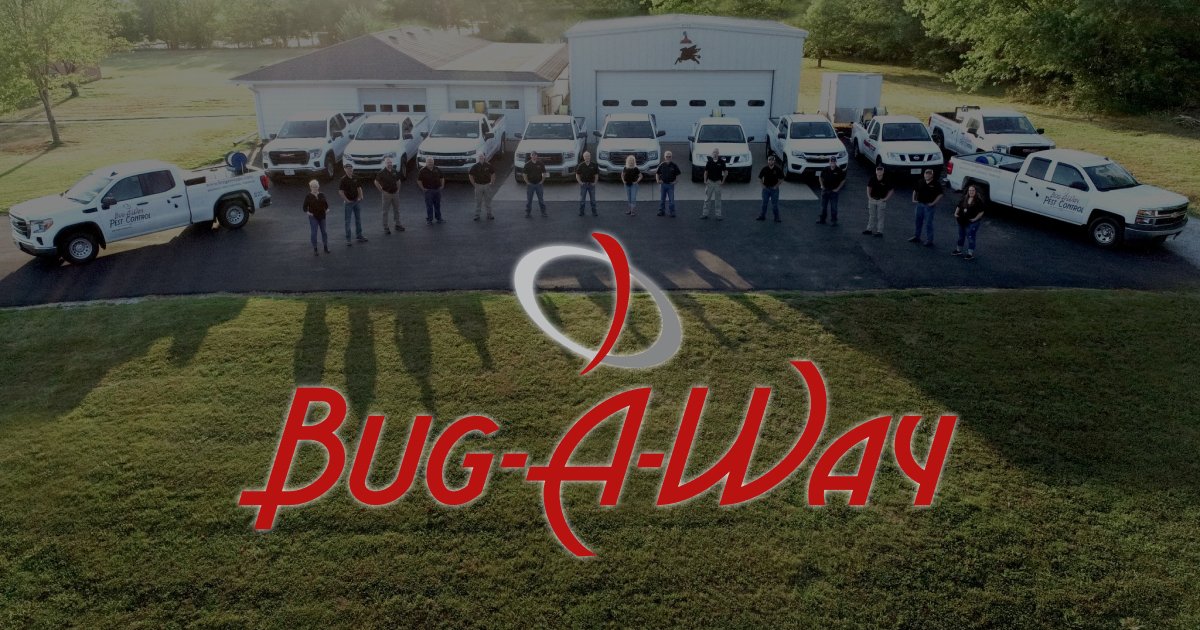 Spring Anti-Pest Checklist for Missouri