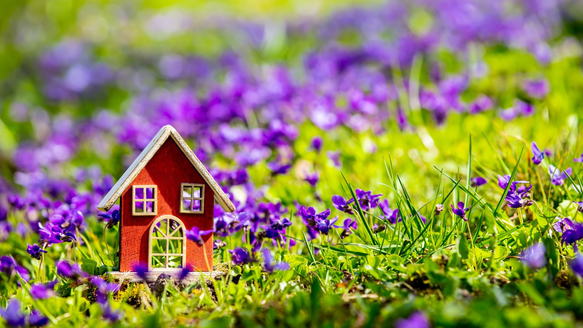 Spring Termite Swarms: Do You Need an Inspection?