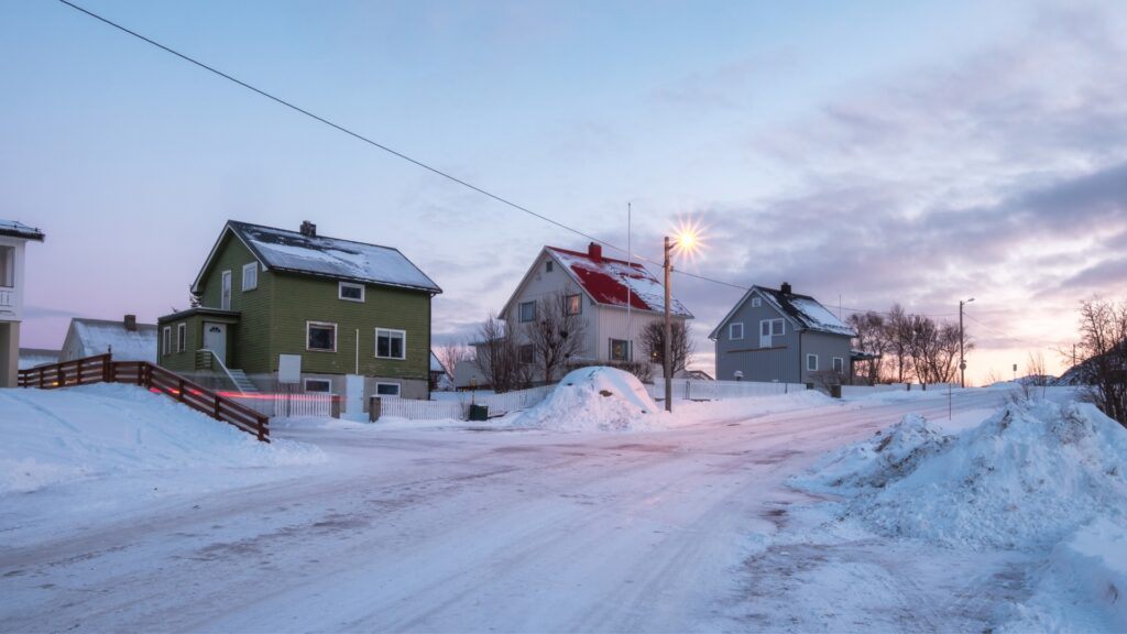 Do You Still Need Pest Control in the Wintertime?1